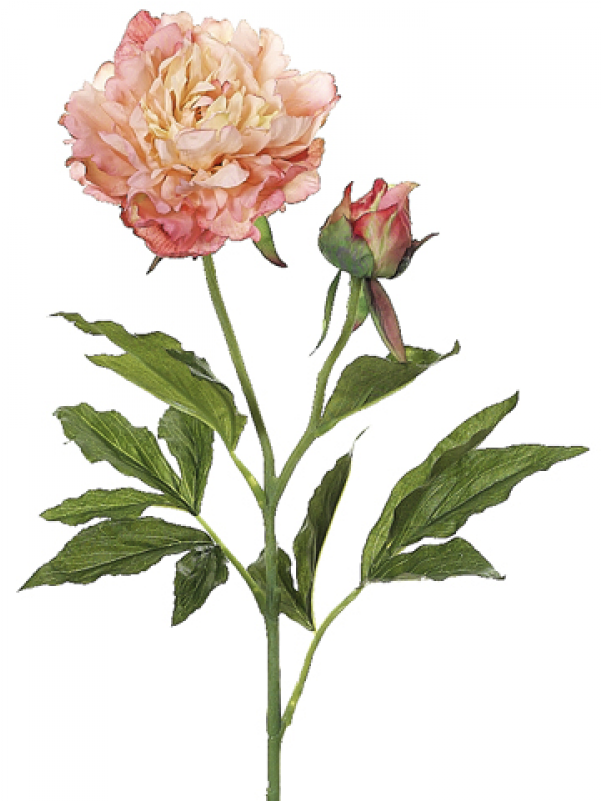28" Peony Spray Salmon Peach - 28in. Peony Spray In Salmon Peach (800x800)