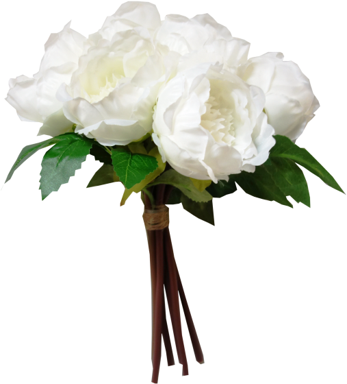 Peony Bouquet X - Peony (800x600)