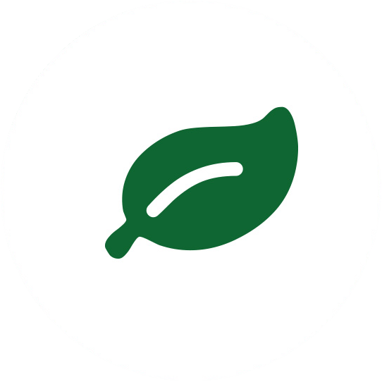 Environmentally Sustainable Designs - Bío Bío Region (542x542)