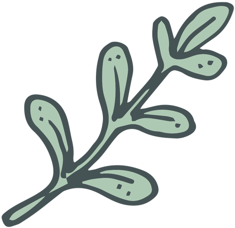 Drawn Branch Cartoon - Drawn Branch Cartoon (512x512)