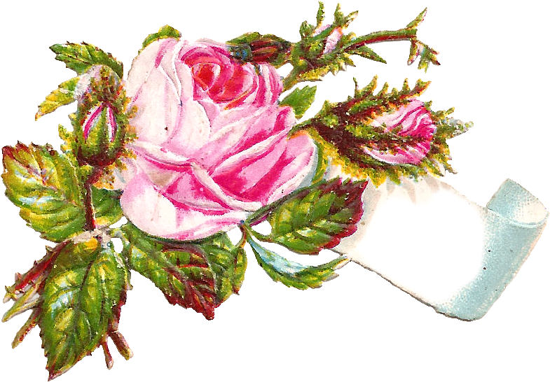 Isn't This Pink Flower Image Gorgeous I've Created - Elegantes Modernes Berufliches Gestreiftes - Rose Visitenkarte (939x653)