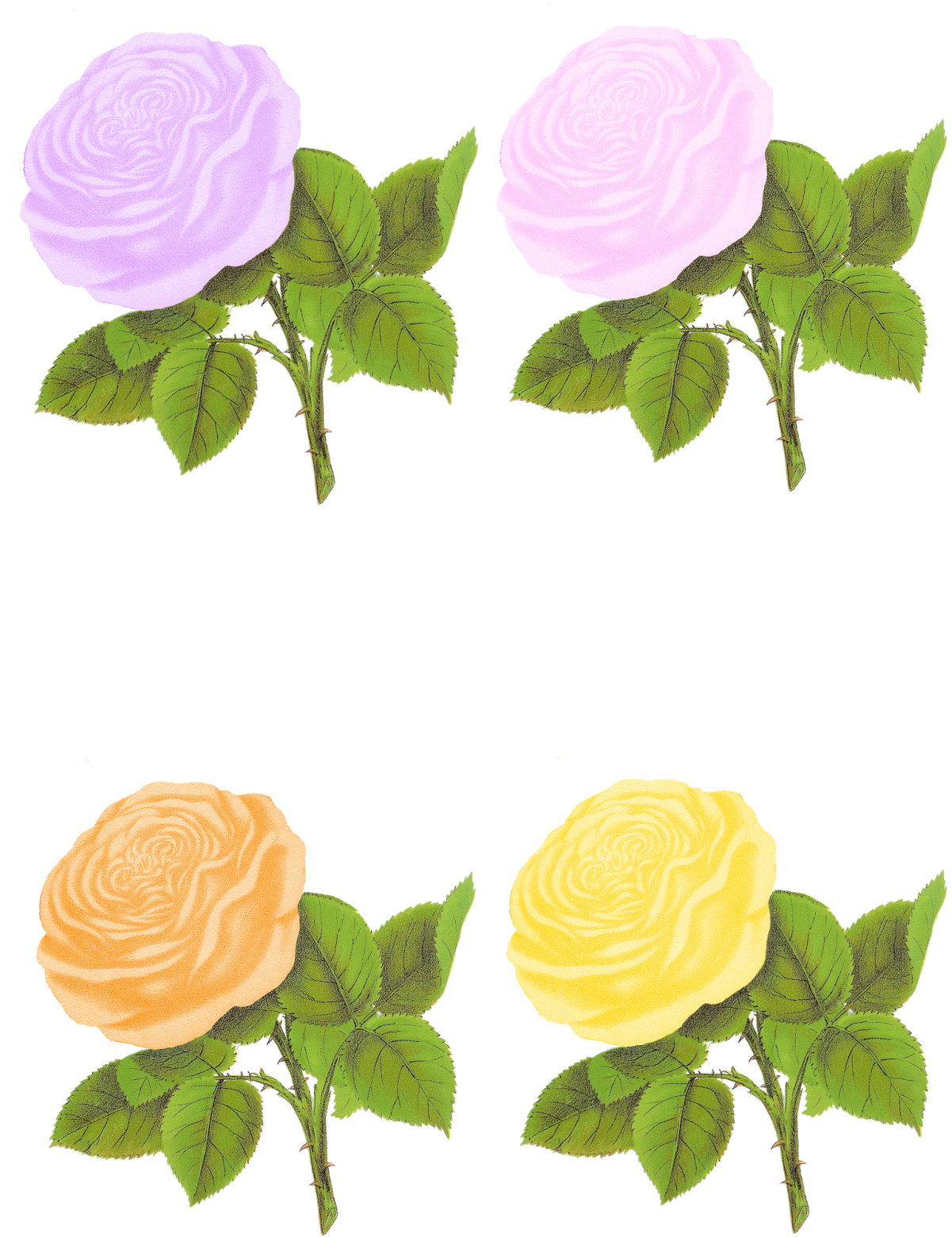 Digital Rose Collage Sheet Download - Clip Art (1237x1600)
