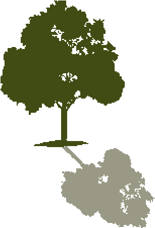 Shade Of Tree Gif (748x494)