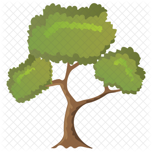 Black Willow Tree Icon - Illustration (512x512)
