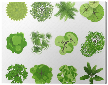 Plant Models For Landscaping Plans (400x400)