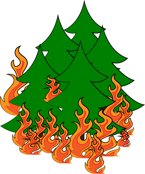 Good With Tree Top Png - Good With Tree Top Png (465x555)