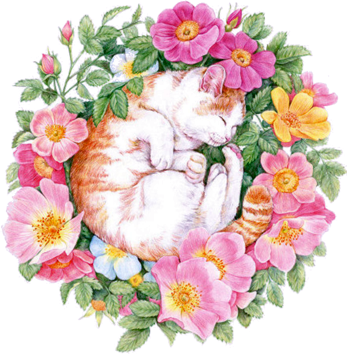 Colored Pencil Flower Painting Drawing - Laneco 120 Coloring Gel Pens Set With 60 Colored And (700x780)