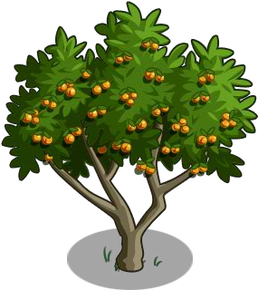 Apricot Tree 100-icon - Christmas Tree (300x400)