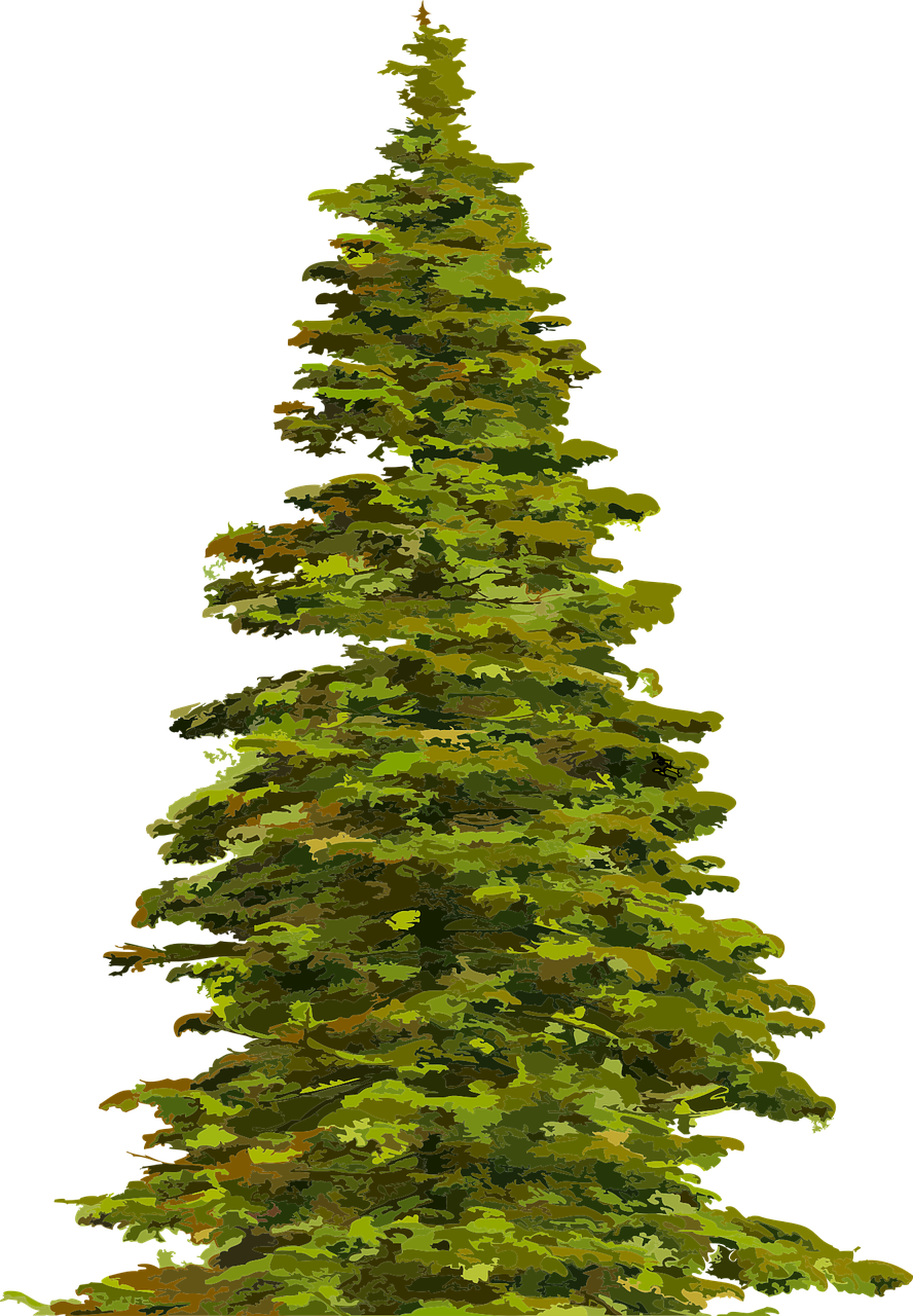 How To Draw A Christmas Tree - New Year Wishes For Father (888x1280)