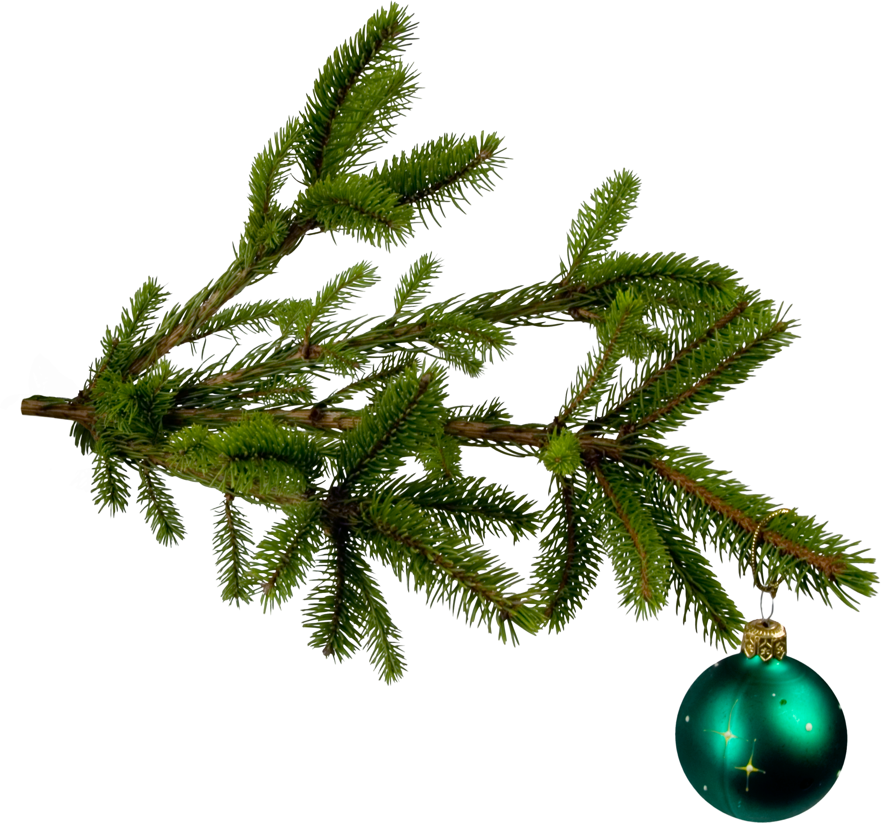 Christmas Tree Leaves Png (3436x3215)
