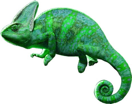 Reptile Clipart House Lizard - Elephants (512x512)
