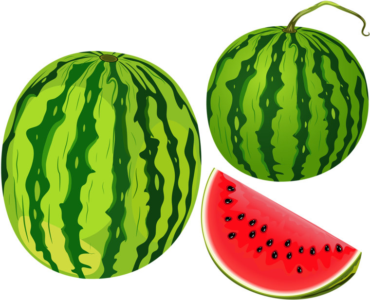 Shutterstock 165830183 [преобразованный] - Clip Art Watermelon (800x655)