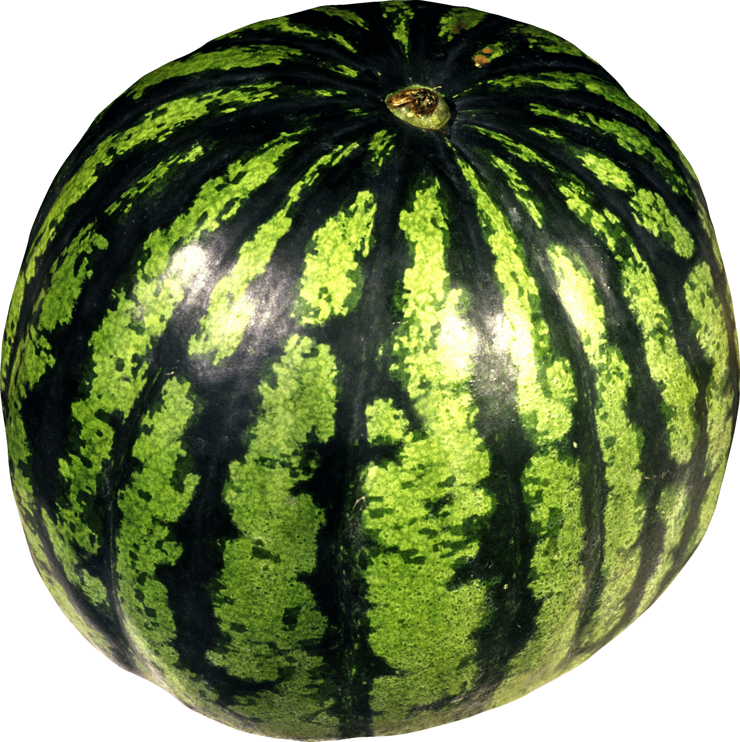 Watermelon Tree Cliparts - Watermelon Png (2446x2454)
