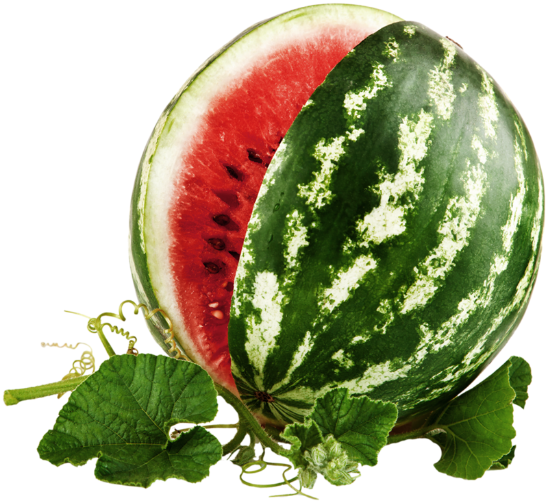 Watermelon Wallpaper, Spring Green, Summer Fun, Pink, - Watermelon Isolated On White Background (800x734)