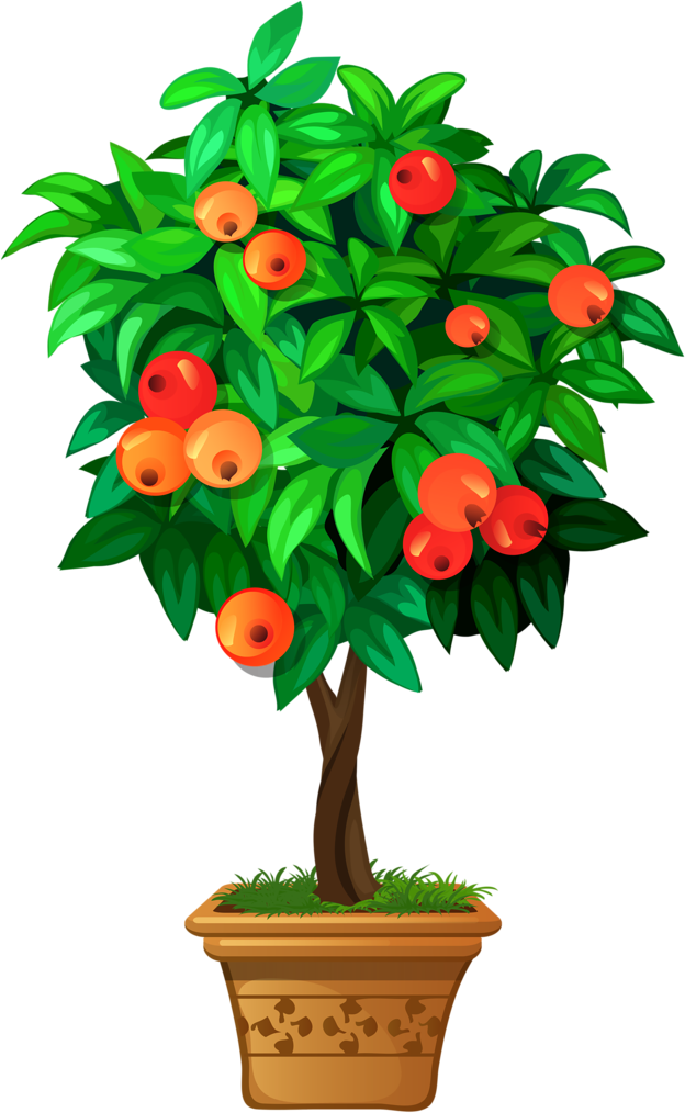 Garden Clipartflower - Dibujo De Plantas En Macetas (653x1024)