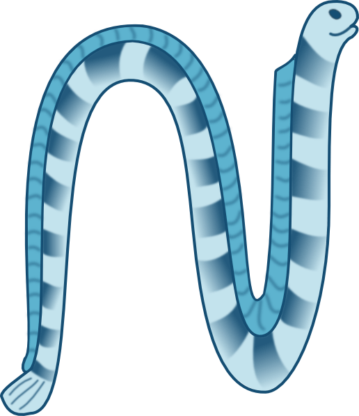Sea Snake Clipart 2 By Juan - Draw A Sea Snake (516x597)