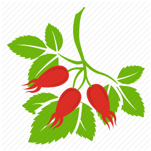 Blossom, Flower, Red Rose, Rose, Rosebud Icon - Rose (512x512)