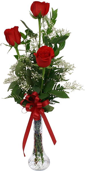 Red Roses Bud Vase - 6 Long Stem Roses (432x600)