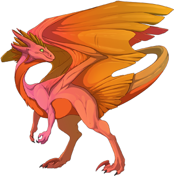 Male - Tangerine/fire/fire - Dragon (350x350)