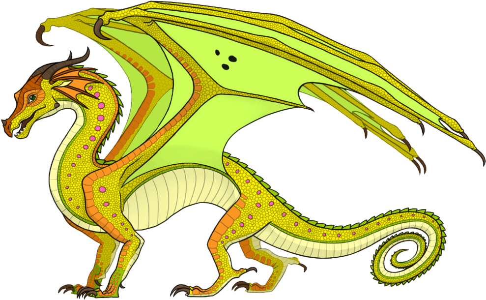 Animus Dragons - Wings Of Fire The Hidden Kingdom (1000x624)