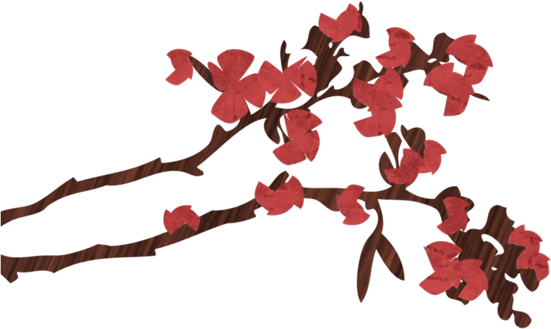 Wwis Yoga Cherry Blossom - 2018 Mothers Day Date (896x500)