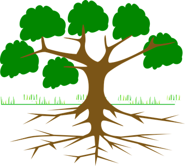 Tree-309046 - Root Of A Tree Cartoon (379x340)