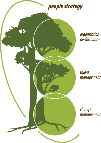Wondering About Our Peoplefirm Tree - Tree (328x462)