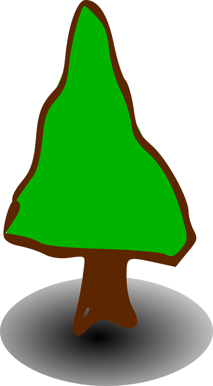 Tree Signs Symbols Conifer Png Image - Symbol (706x1280)