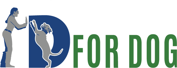 Training That Spells Success - Design (676x262)