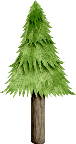 North Country Mle El - Pond Pine (263x500)