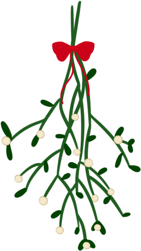 No No No - Mistletoe Transparent (500x710)