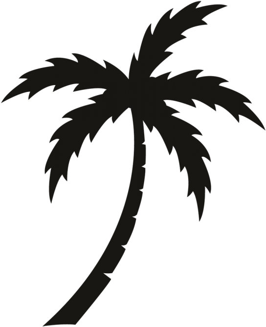 Palm Tree Clipart Black And White For Kids - Sticker (575x700)