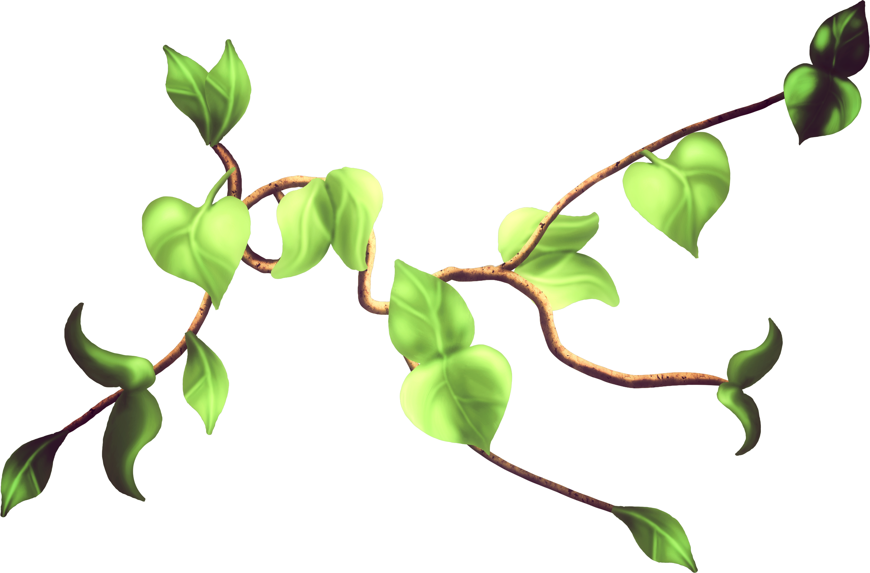 Twig Leaf Bud Clip Art - 2201 (3339x2201)