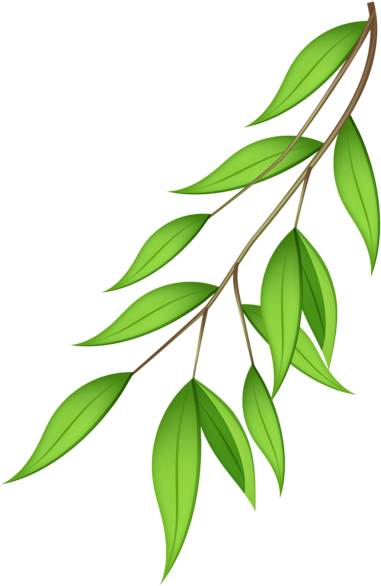 Green Branch Png Transparent Clip Art Image - Portable Network Graphics (394x600)