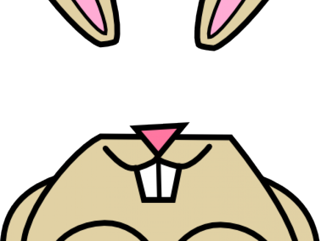 Rabbit Clipart Mouth - Gifs De Conejos Animados (640x480)