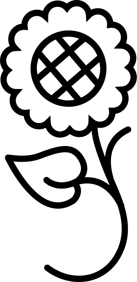 Sunflower Variant With Leaves And Vines Comments - Caeitas De Stivenelvro (479x980)