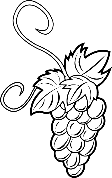 Grapes Clip Art Black And White Download - Grapes Clipart Black And White (384x611)