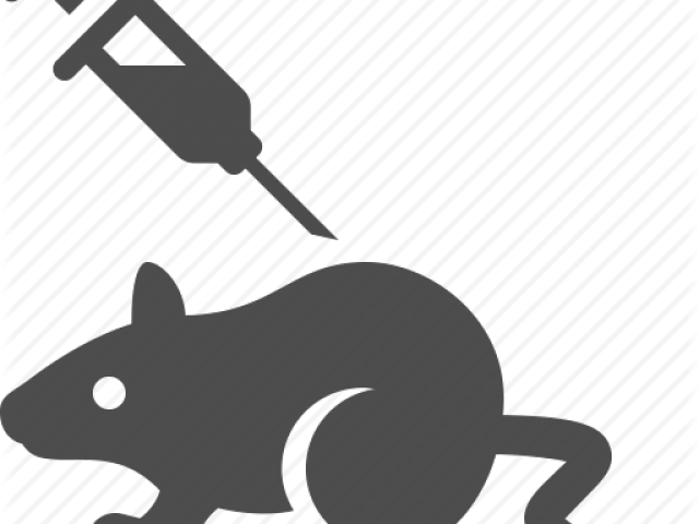 Rat Clipart Injection - Rat (640x480)