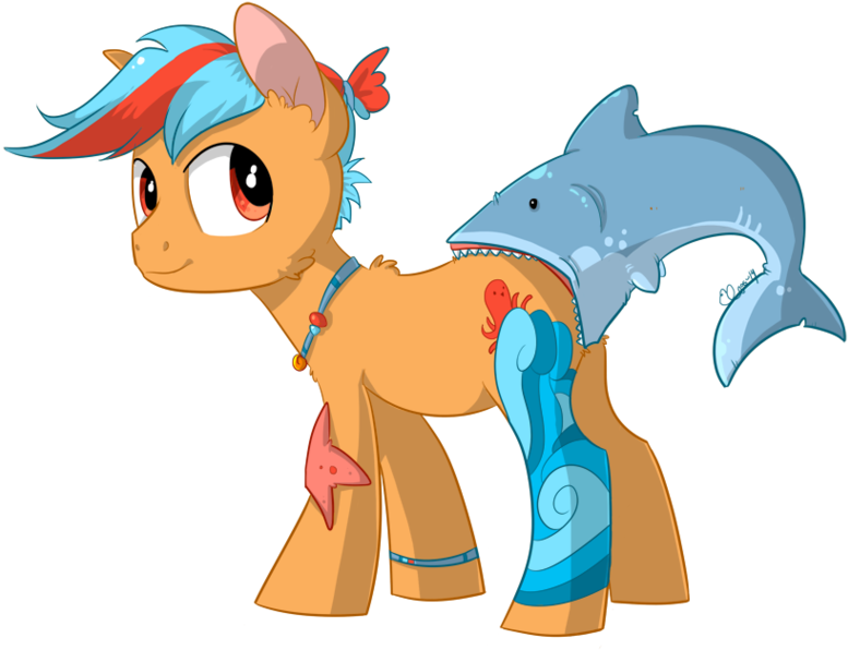 Shark Butt Pony - Mlp Shark Pony Oc (800x608)