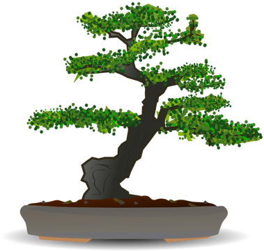 Dibujo Vectorial Del Árbol De Los Bonsais - Bonsai Png (500x405)