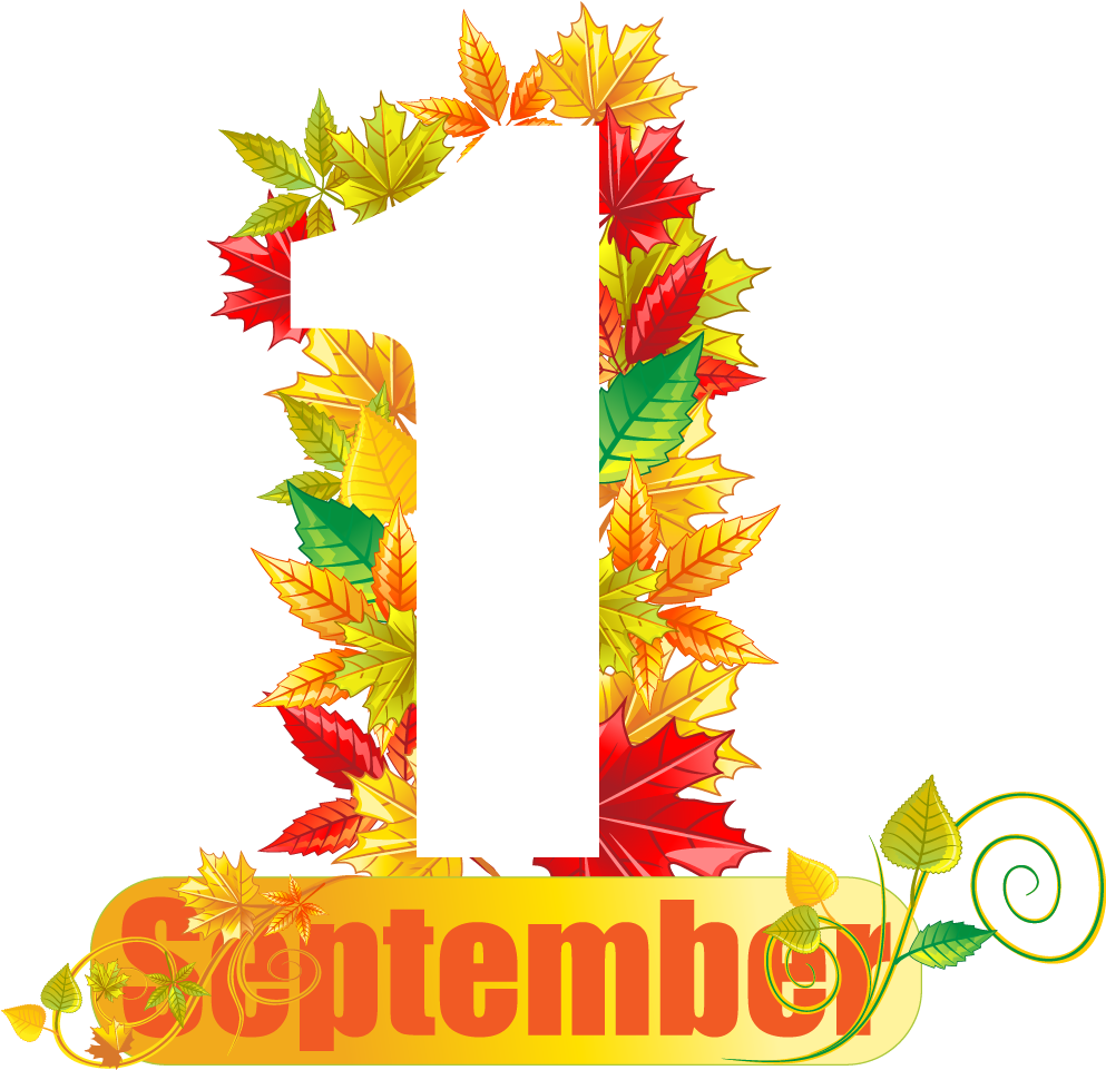 Vector Graphics Clip Art Portable Network Graphics - Clip Art (1031x1091)