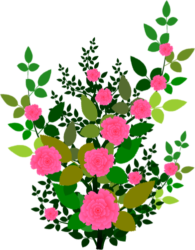 Pink Roses Vector Graphics - Plants Clip Art Transparent (391x500)