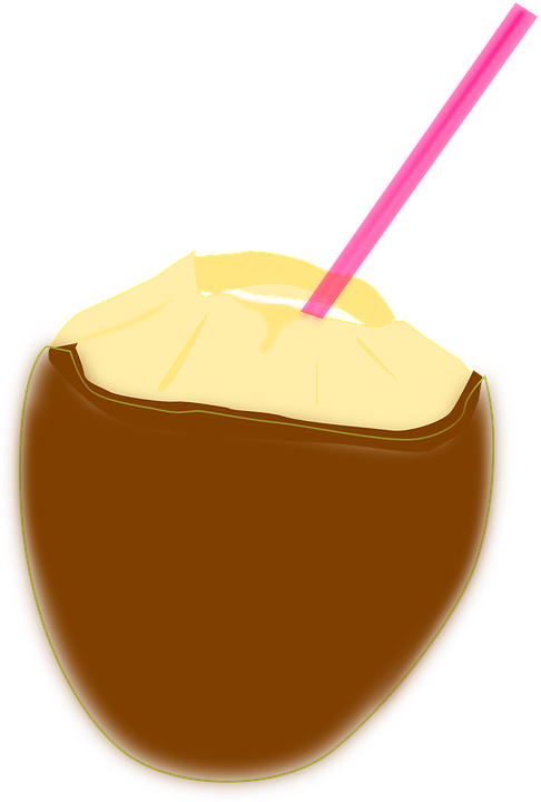 Coconut Clipart Coconut Drink - Coconut Straw Png (486x720)