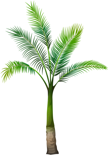 Palm Tree Png Image - Different Types Of Palm Trees (434x600)