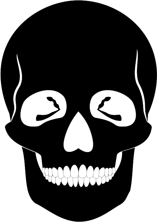 Medium Image - Black Skull Png (566x800)