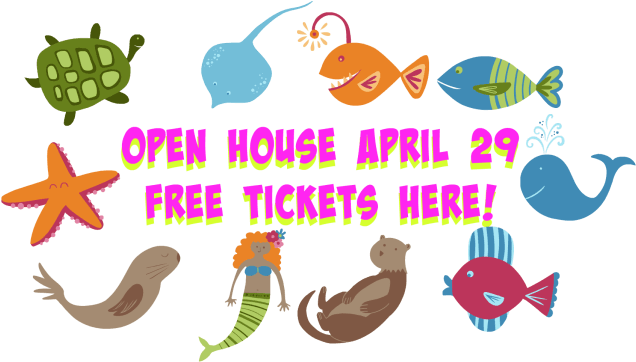 We Hope The Above Descriptions Of Aloha's Summer Camp - Mermaid Tote Bag, Adult Unisex, Orange (640x371)