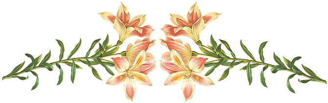 The Summer House - Giclee Painting: Langlois' Alstroemeria Pelegrina, (710x220)