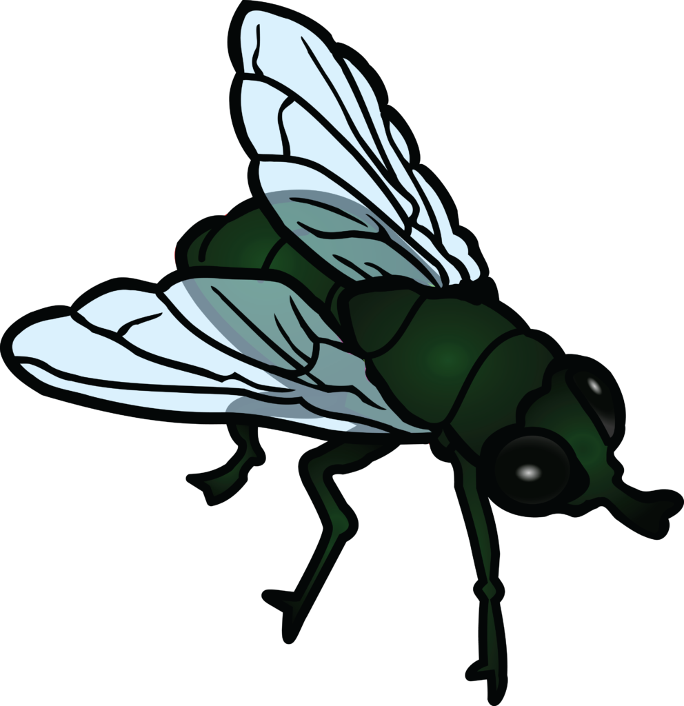 1377 Free Clipart Of A Fly House - Fly Clipart (992x1024)