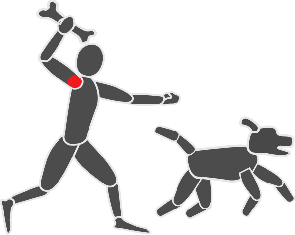 Physilog Man Throwing A Bone To His Dog - Cartoon (600x479)