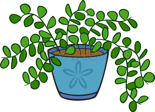 Potted Plant - Portable Network Graphics (520x377)